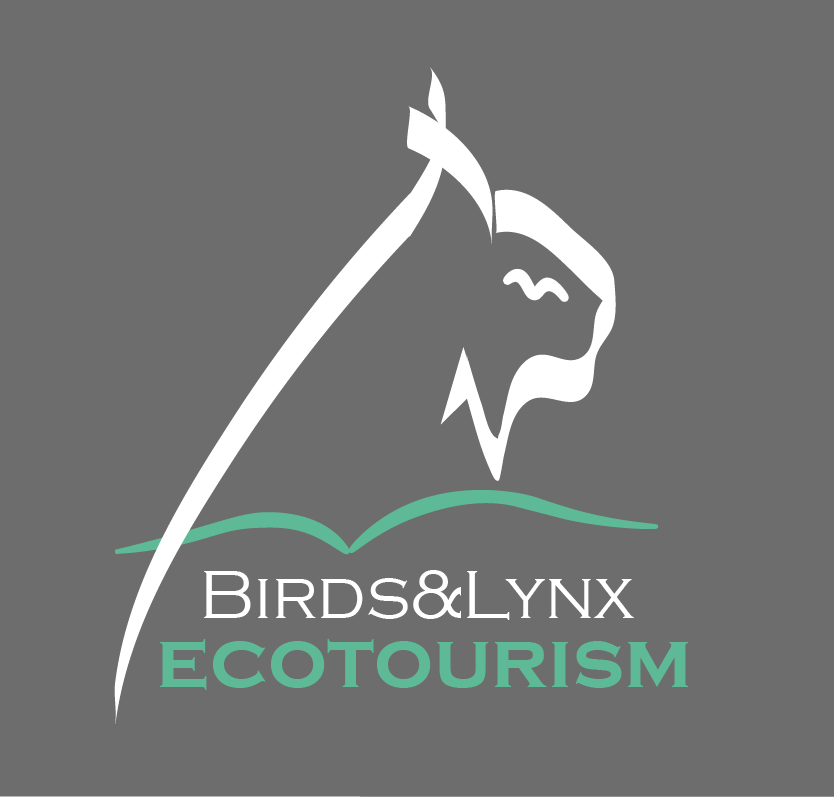 logo_birdsanslynxecotourism