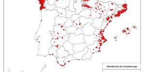Distribución del plumero (Cortaderia sp) en España