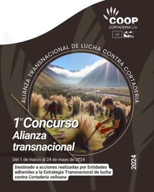 I Concurso de la Alianza Transnacional